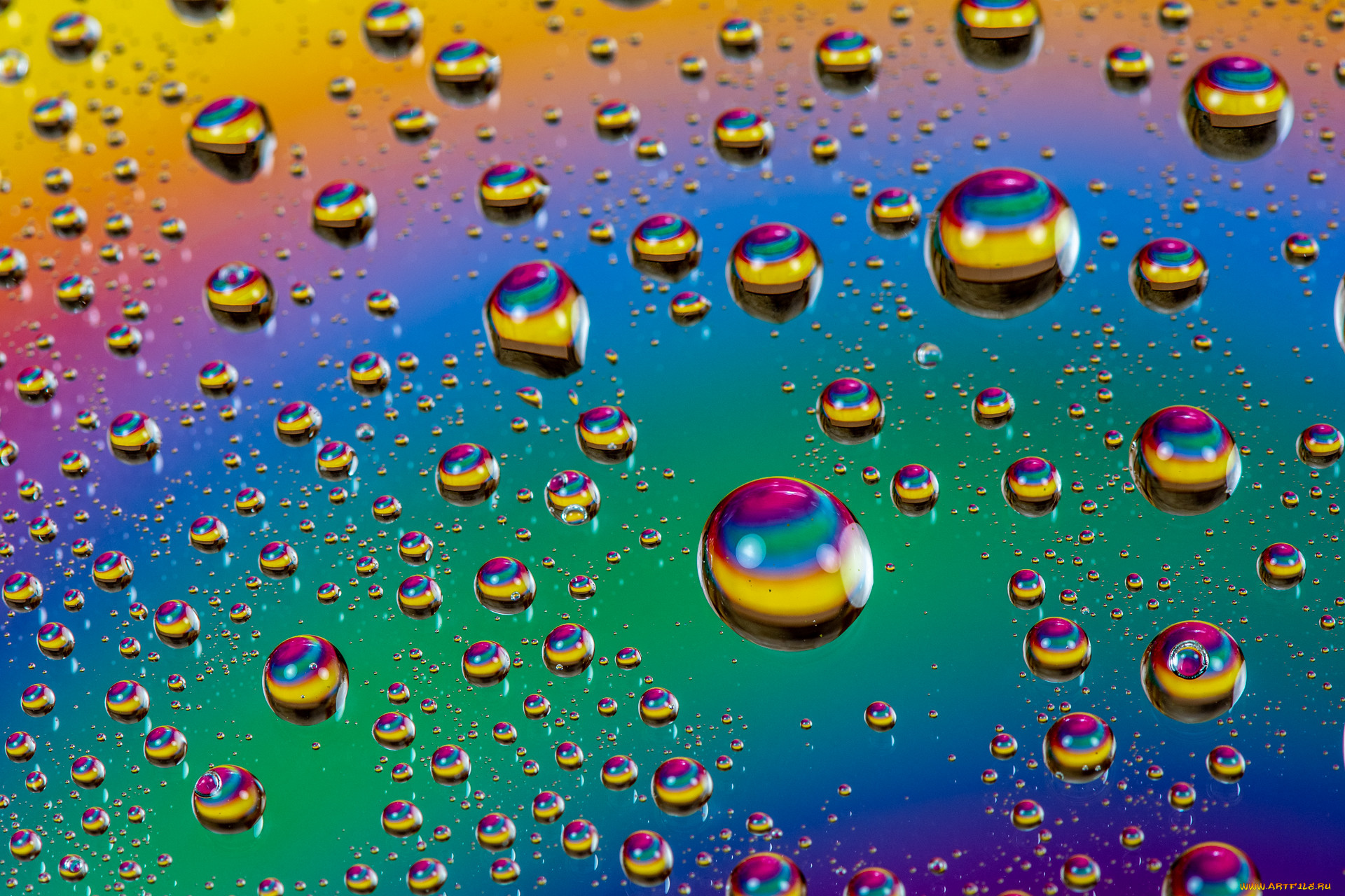 3� �������, ���� , balls, �����